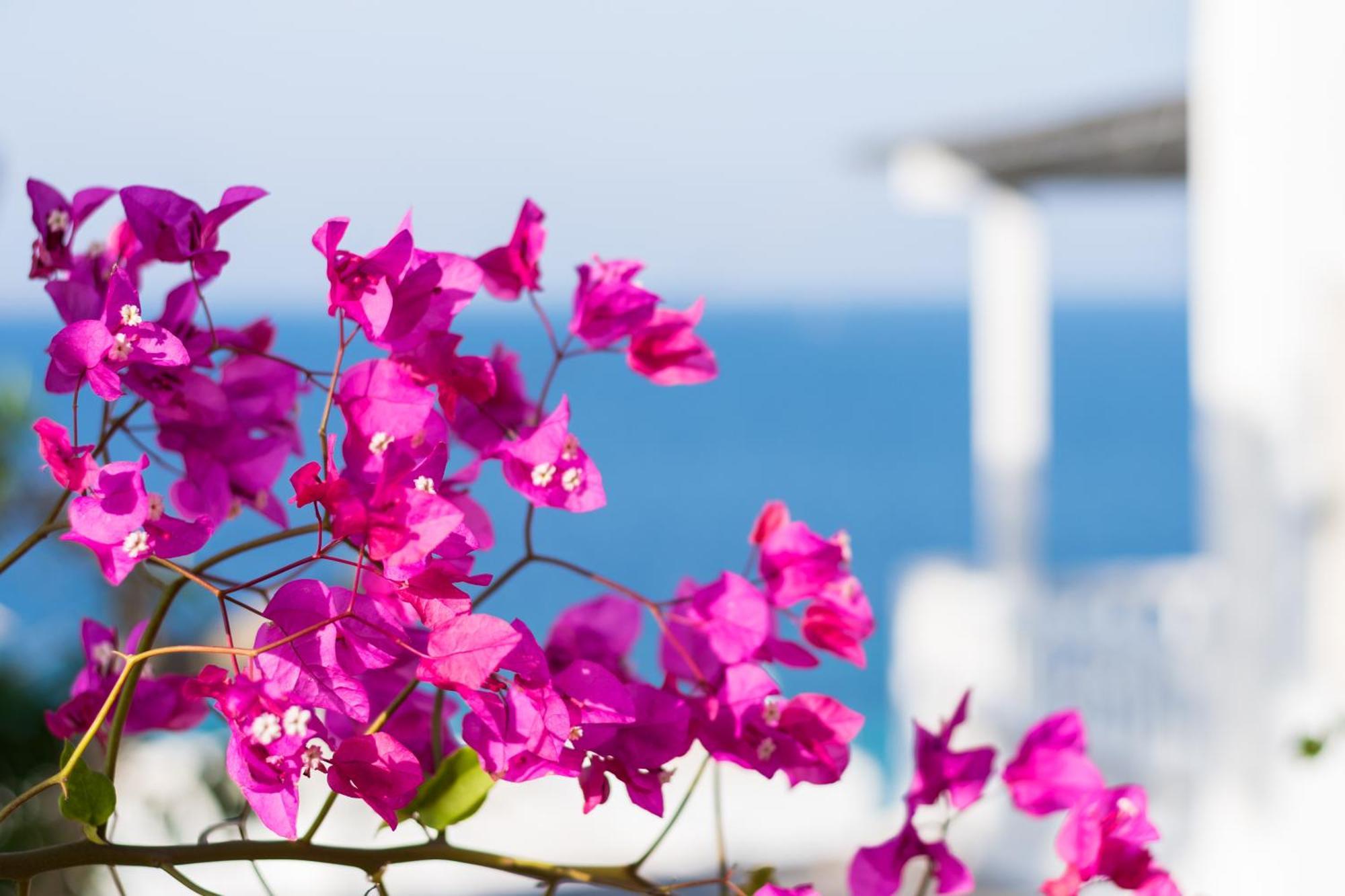 With-inn Mykonos 3*